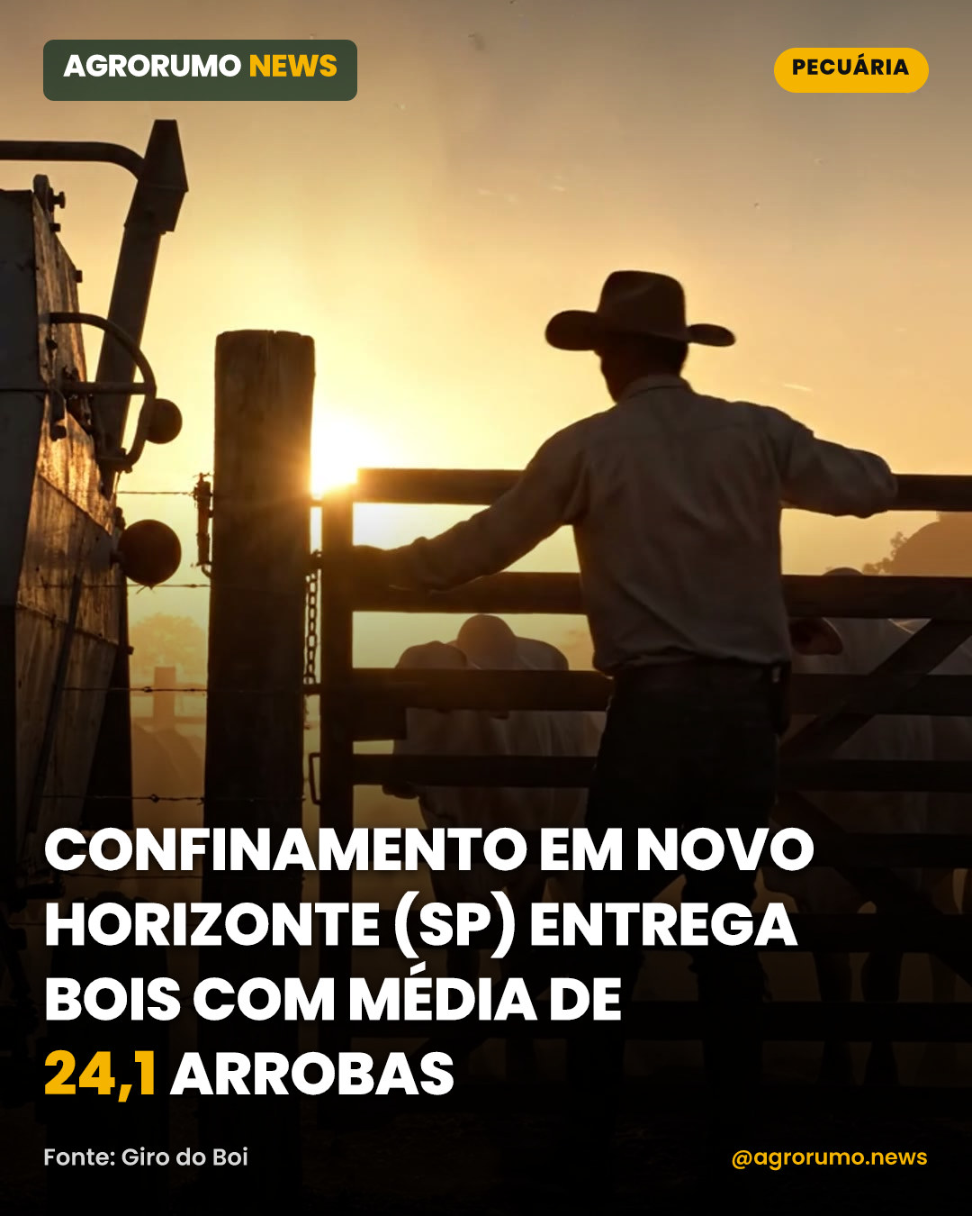 Confinamento em Novo Horizonte (SP) entrega bois com média de 24,1 arrobas