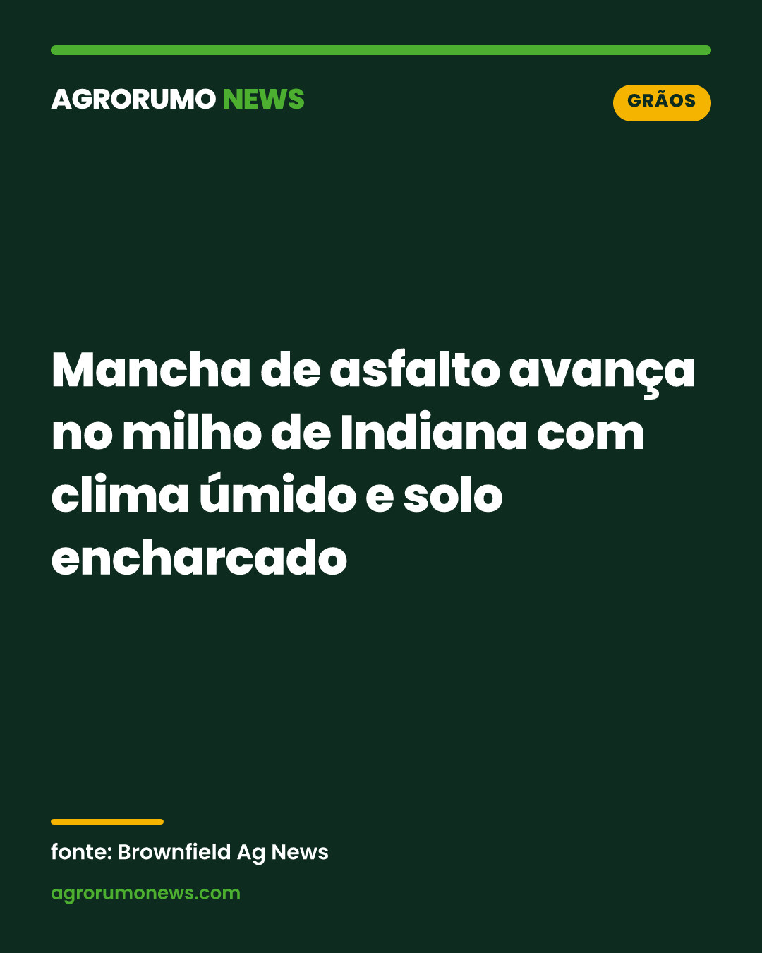 Mancha de asfalto avança no milho de Indiana com clima úmido e solo encharcado