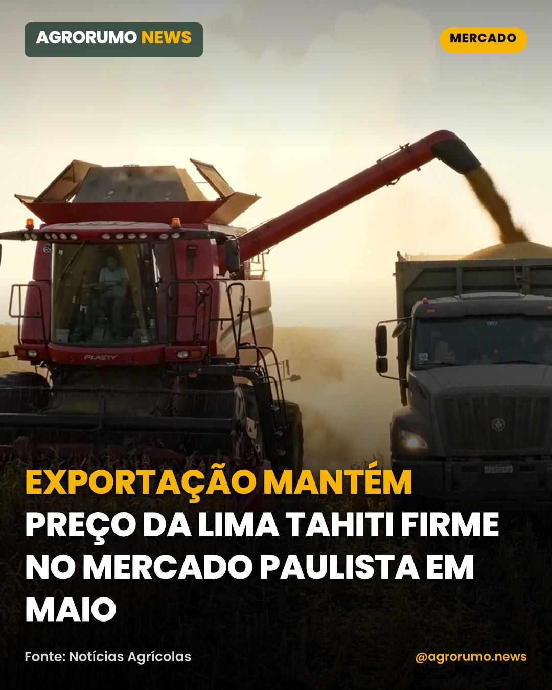 Exportação mantém preço da lima tahiti firme no mercado paulista em maio