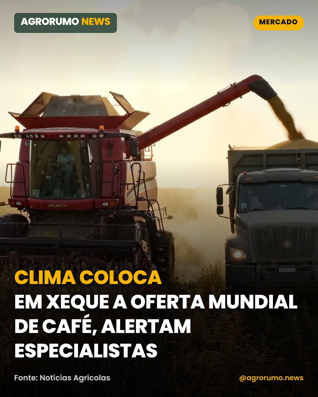 Clima coloca em xeque a oferta mundial de café, alertam especialistas