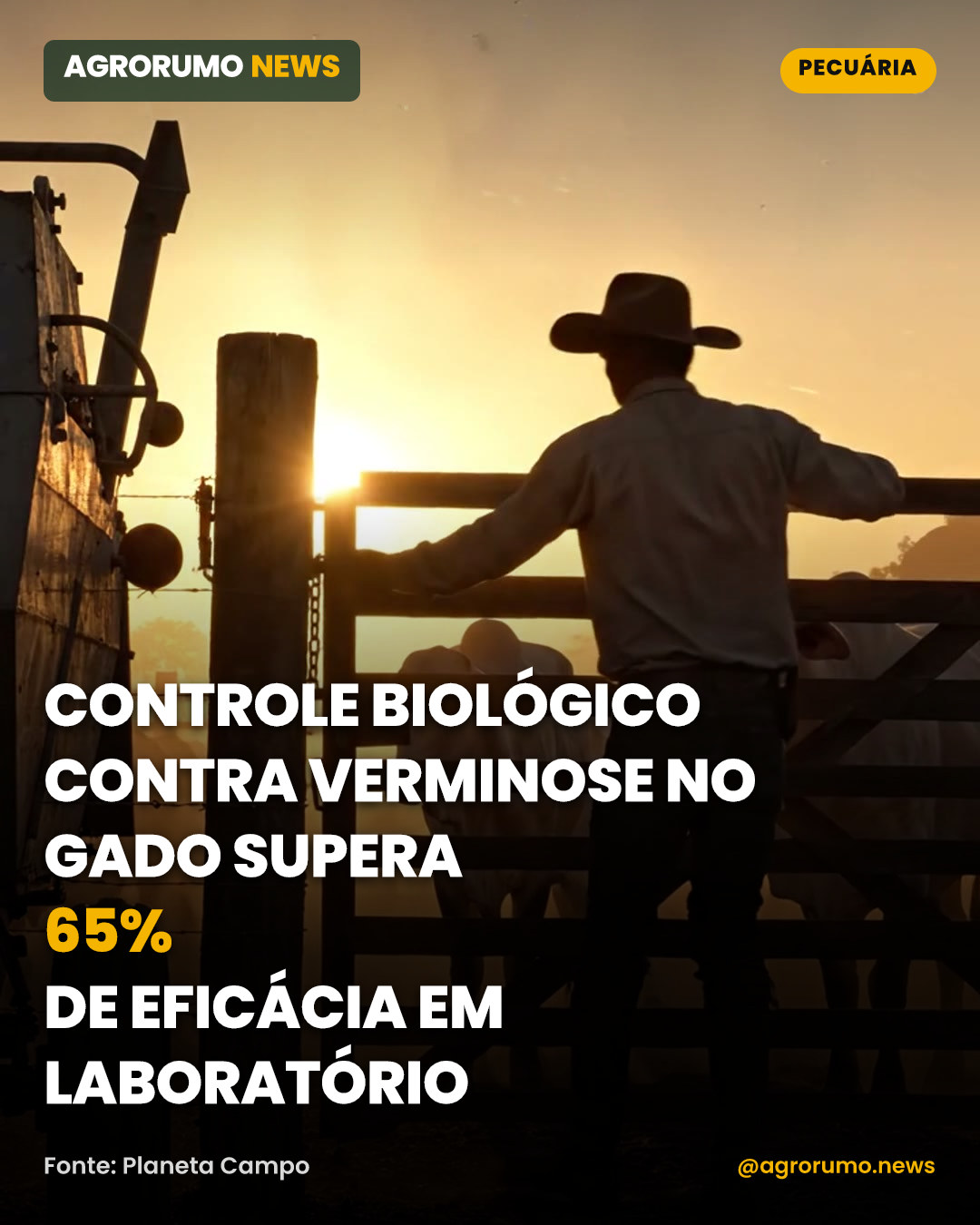 Controle biológico contra verminose no gado supera 65% de eficácia em laboratório