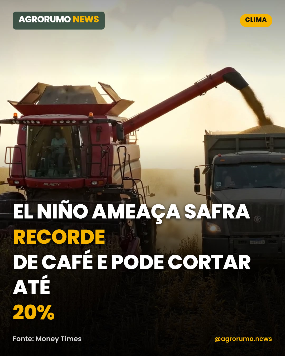 El Niño ameaça safra recorde de café e pode cortar até 20%