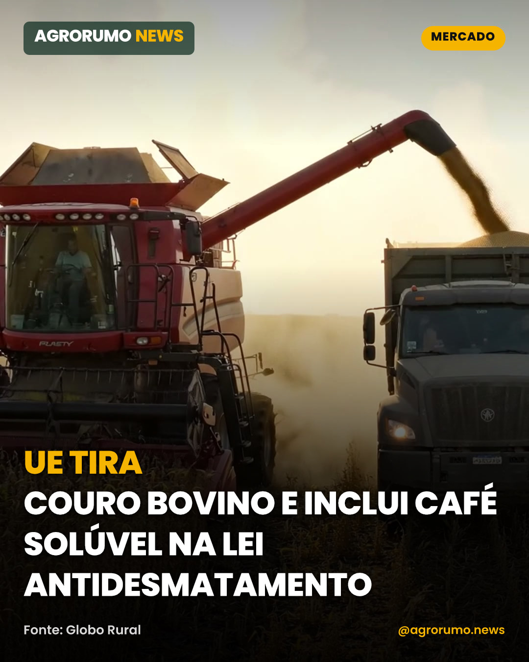 UE tira couro bovino e inclui café solúvel na lei antidesmatamento