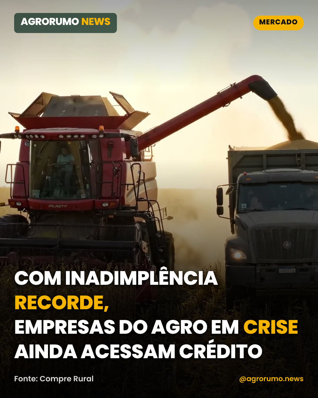 Com inadimplência recorde, empresas do agro em crise ainda acessam crédito