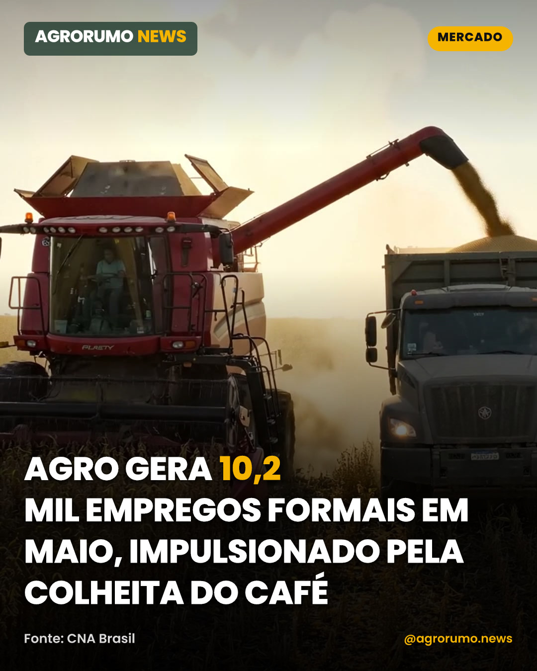 Agro gera 10,2 mil empregos formais em maio, impulsionado pela colheita do café
