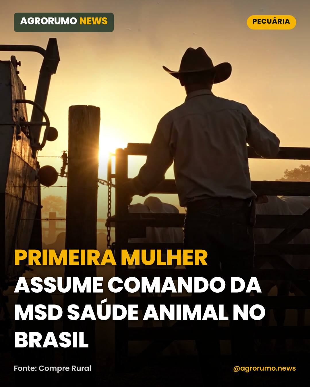 Primeira mulher assume comando da MSD Saúde Animal no Brasil
