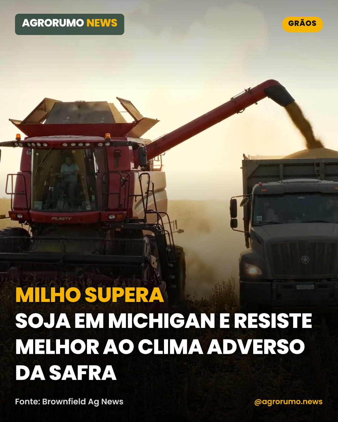 Milho supera soja em Michigan e resiste melhor ao clima adverso da safra