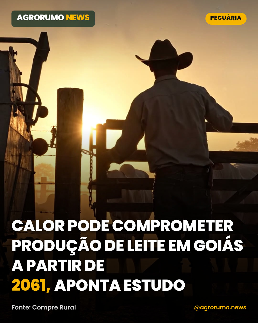 Calor pode comprometer produção de leite em Goiás a partir de 2061, aponta estudo
