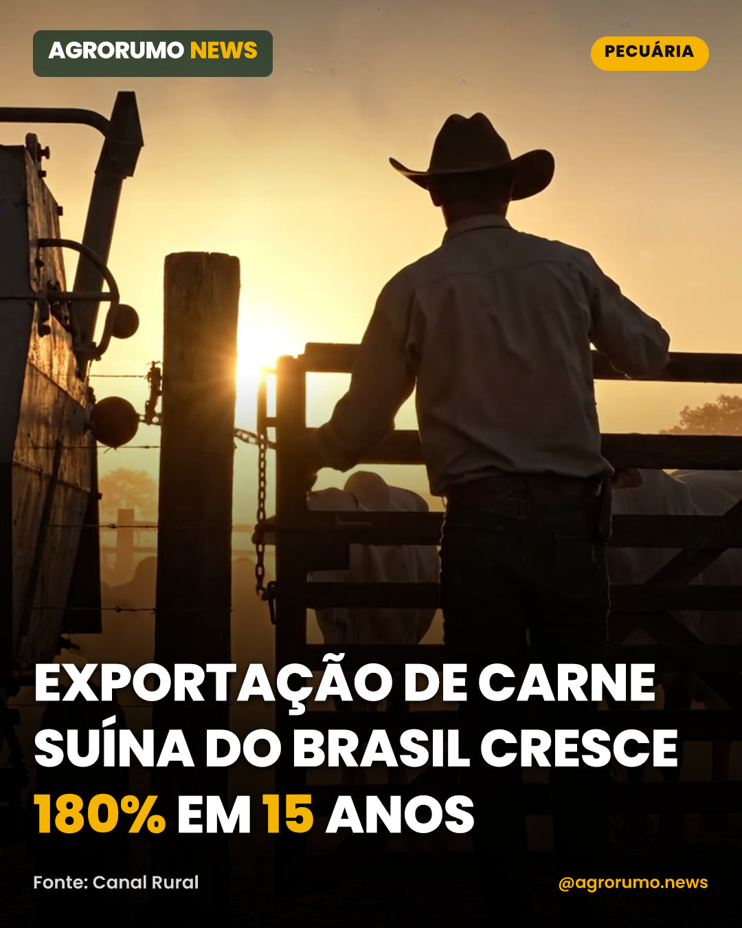 Exportação de carne suína do Brasil cresce 180% em 15 anos