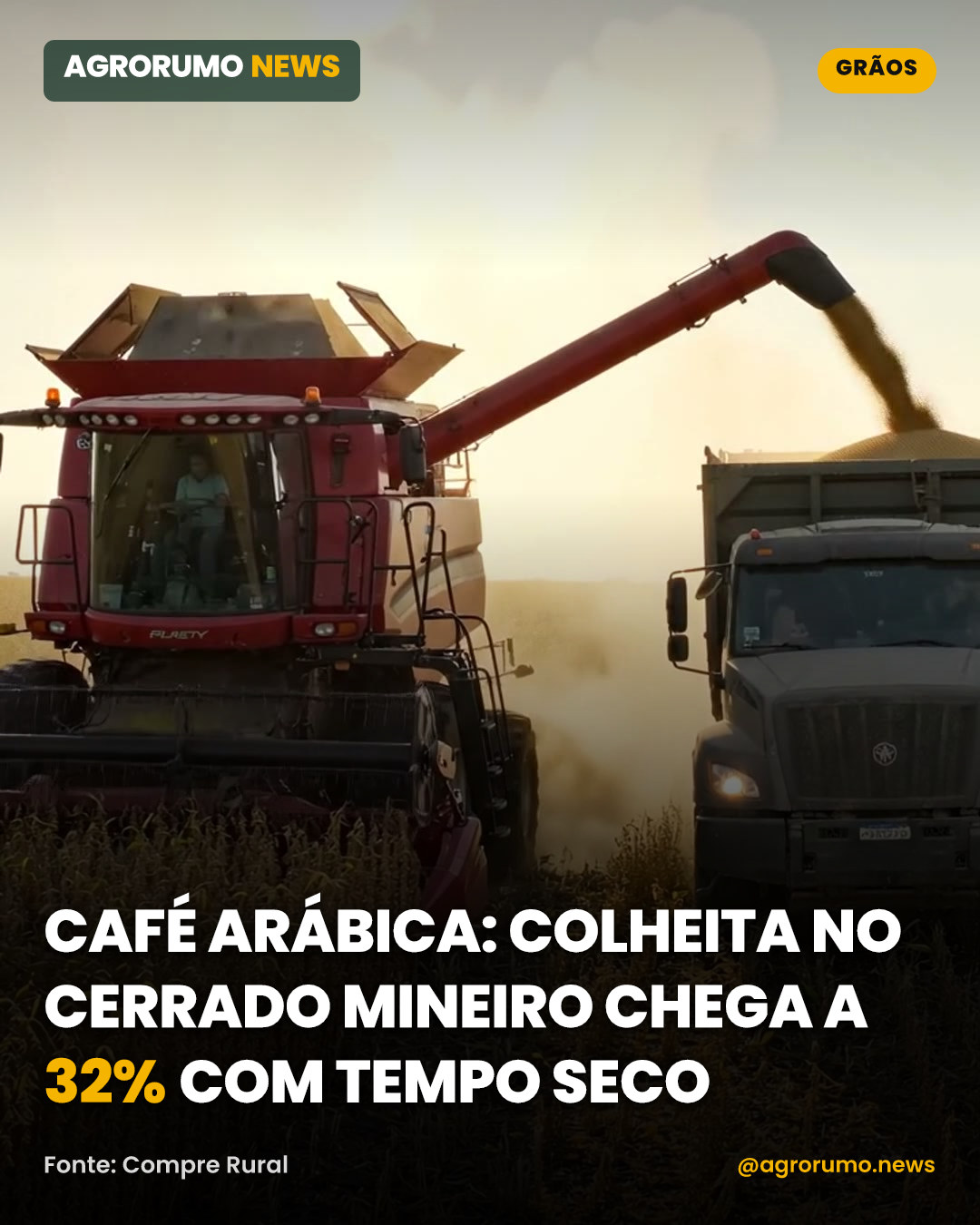 Café arábica: colheita no Cerrado Mineiro chega a 32% com tempo seco