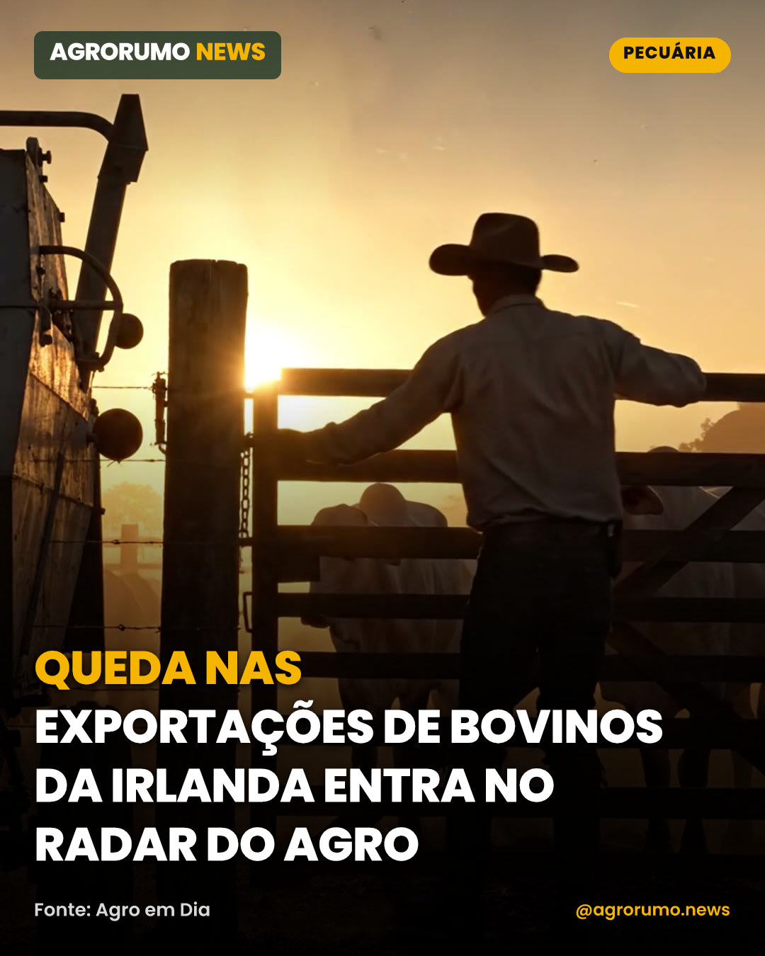 Queda nas exportações de bovinos da Irlanda entra no radar do agro