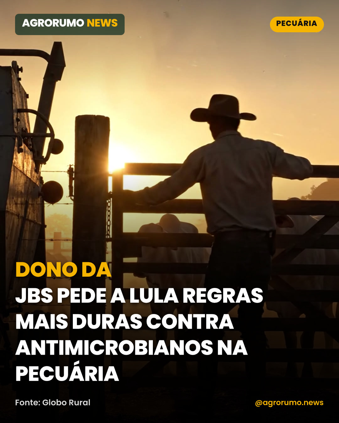 Dono da JBS pede a Lula regras mais duras contra antimicrobianos na pecuária