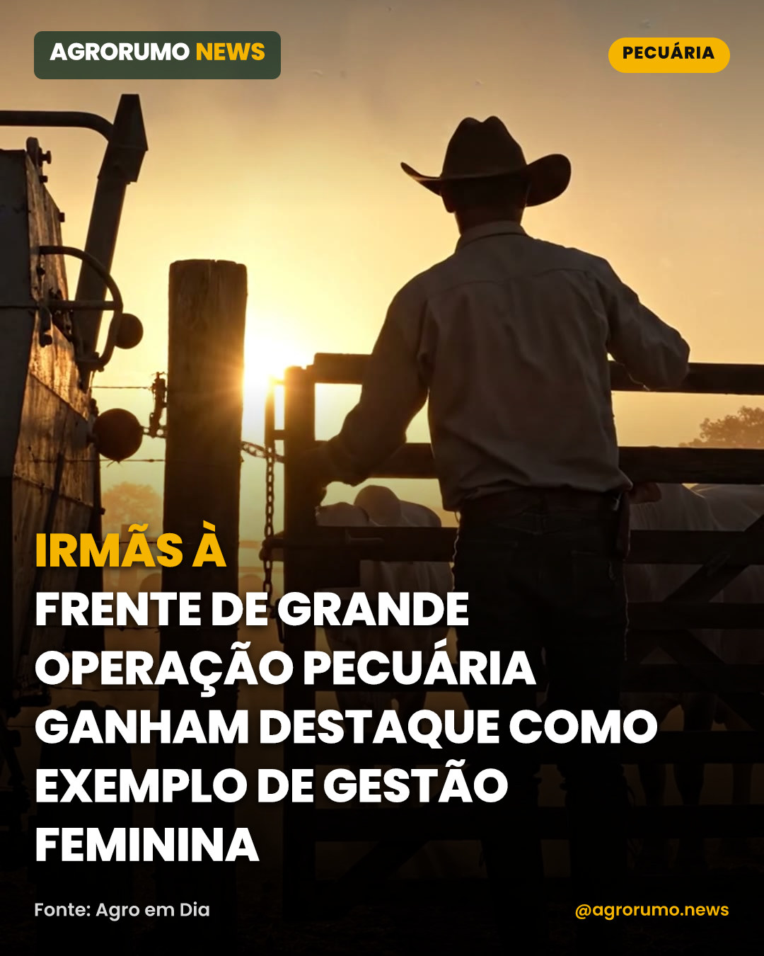 Irmãs à frente de grande operação pecuária ganham destaque como exemplo de gestão feminina