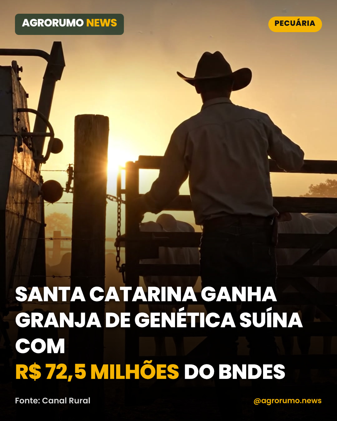 Santa Catarina ganha granja de genética suína com R$ 72,5 milhões do BNDES