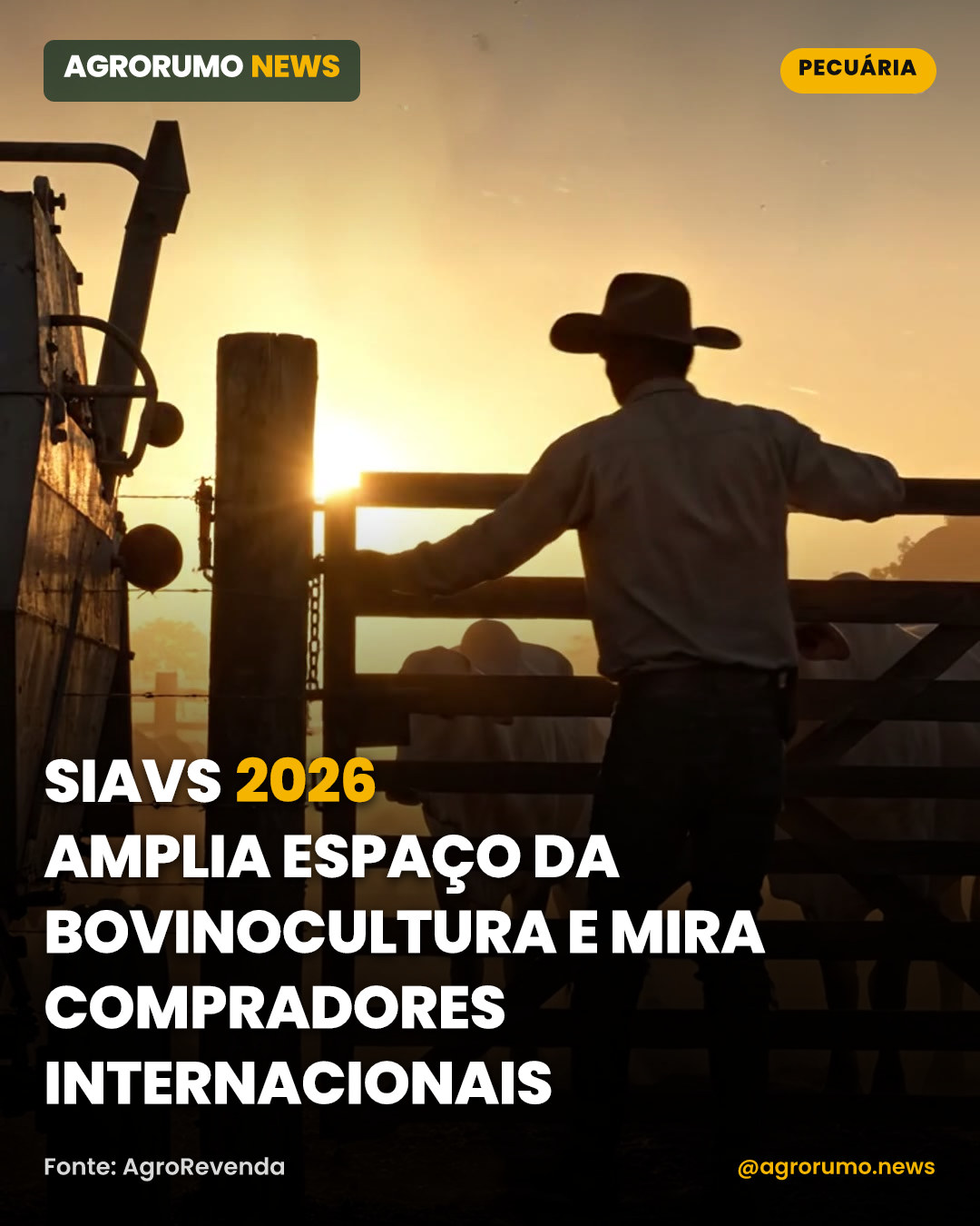 SIAVS 2026 amplia espaço da bovinocultura e mira compradores internacionais
