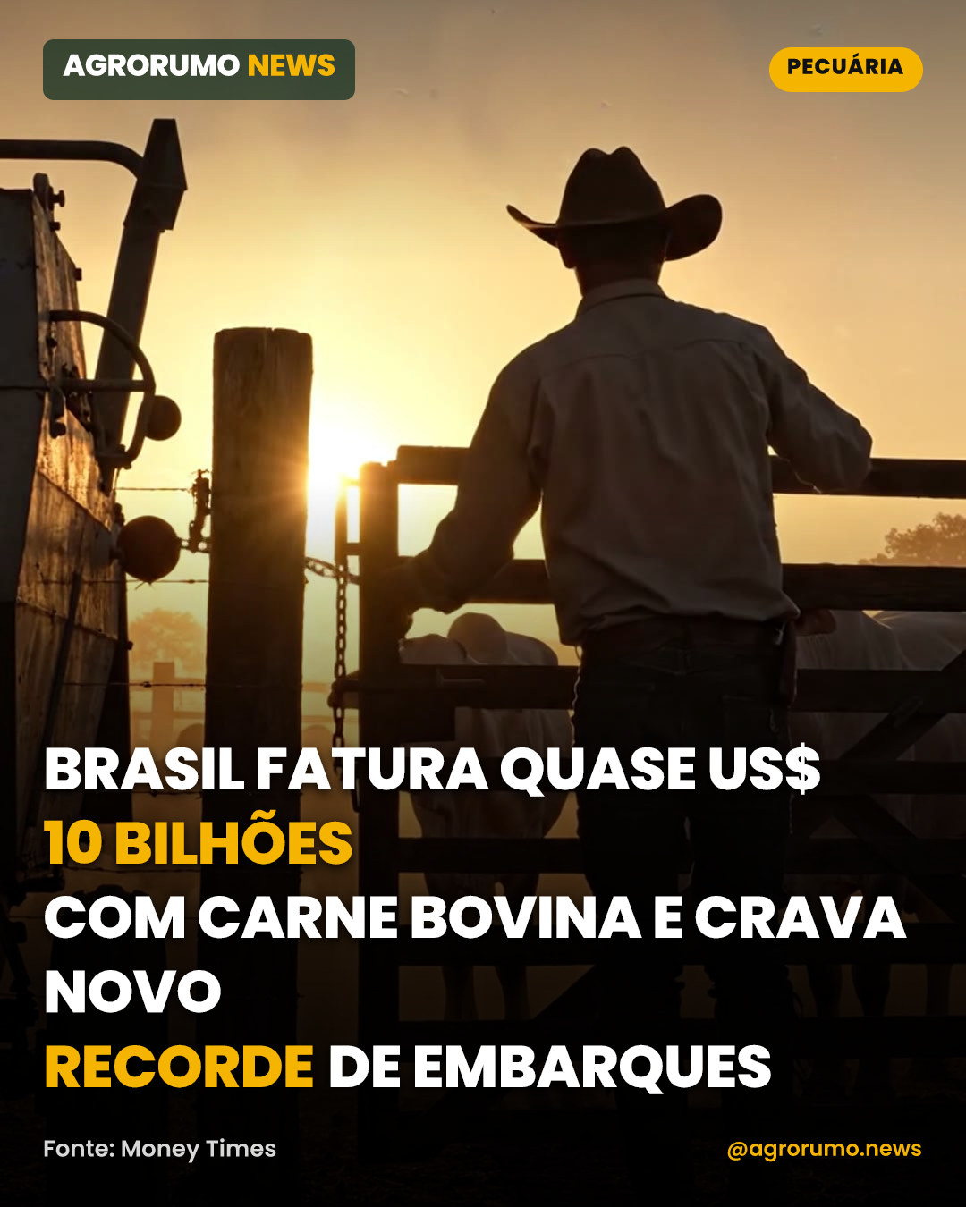 Brasil fatura quase US$ 10 bilhões com carne bovina e crava novo recorde de embarques