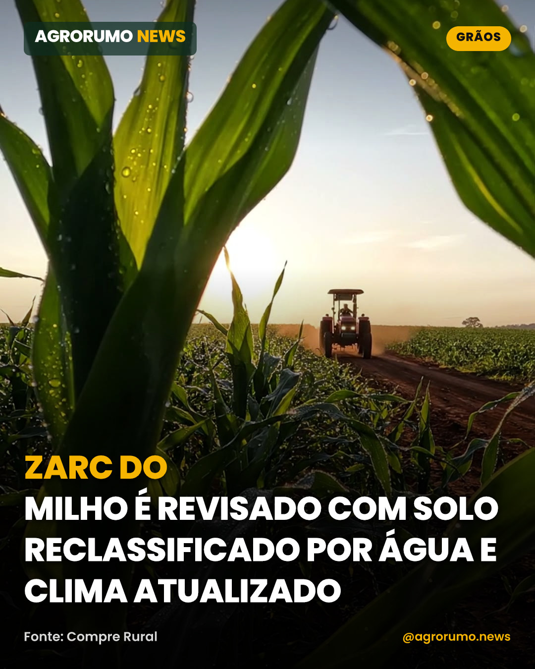 ZARC do milho é revisado com solo reclassificado por água e clima atualizado