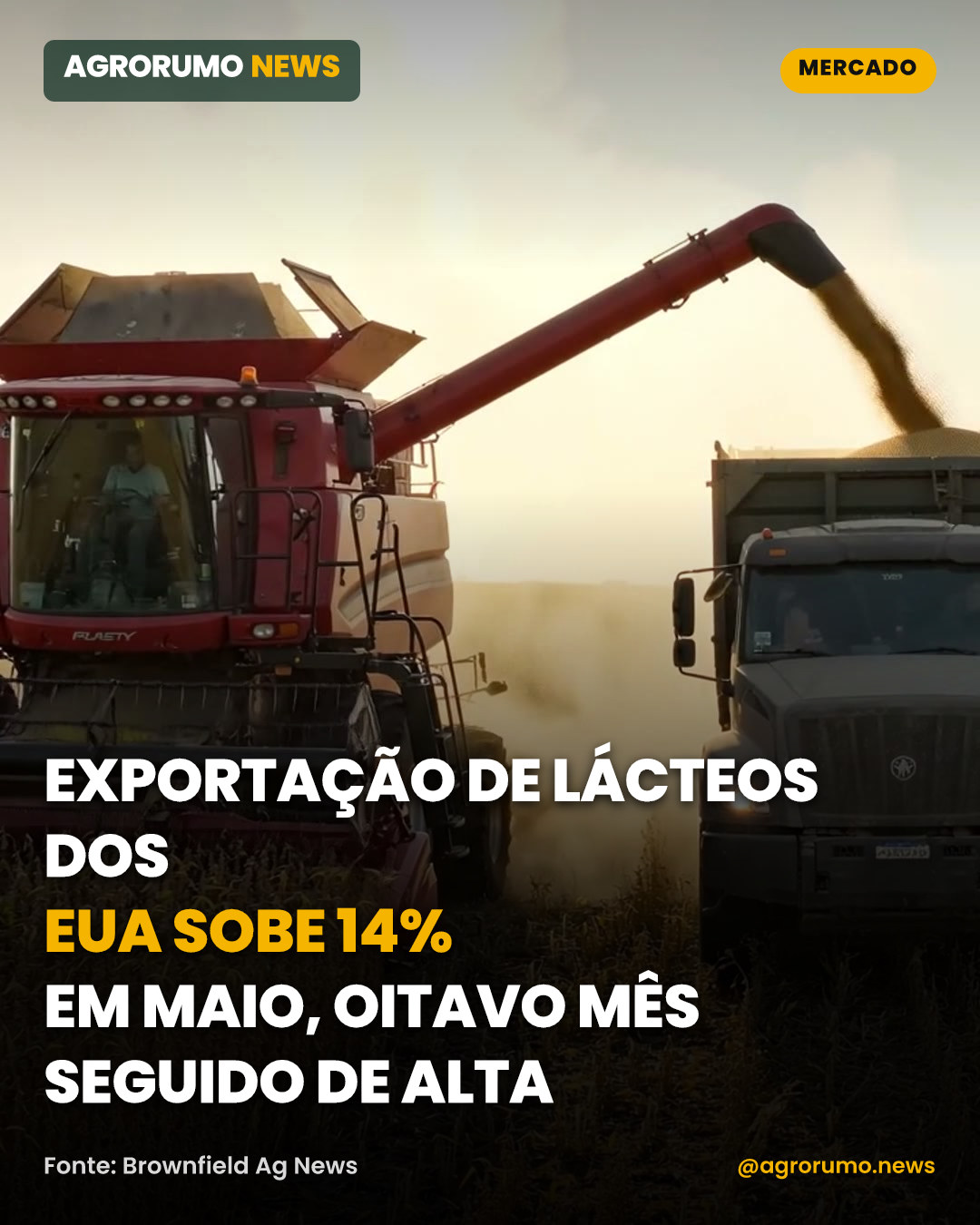 Exportação de lácteos dos EUA sobe 14% em maio, oitavo mês seguido de alta