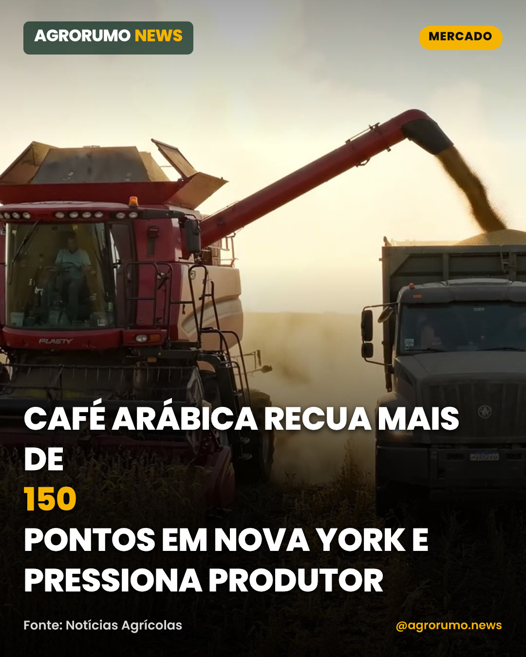 Café arábica recua mais de 150 pontos em Nova York e pressiona produtor