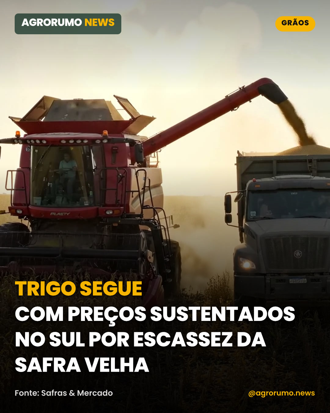 Trigo segue com preços sustentados no Sul por escassez da safra velha