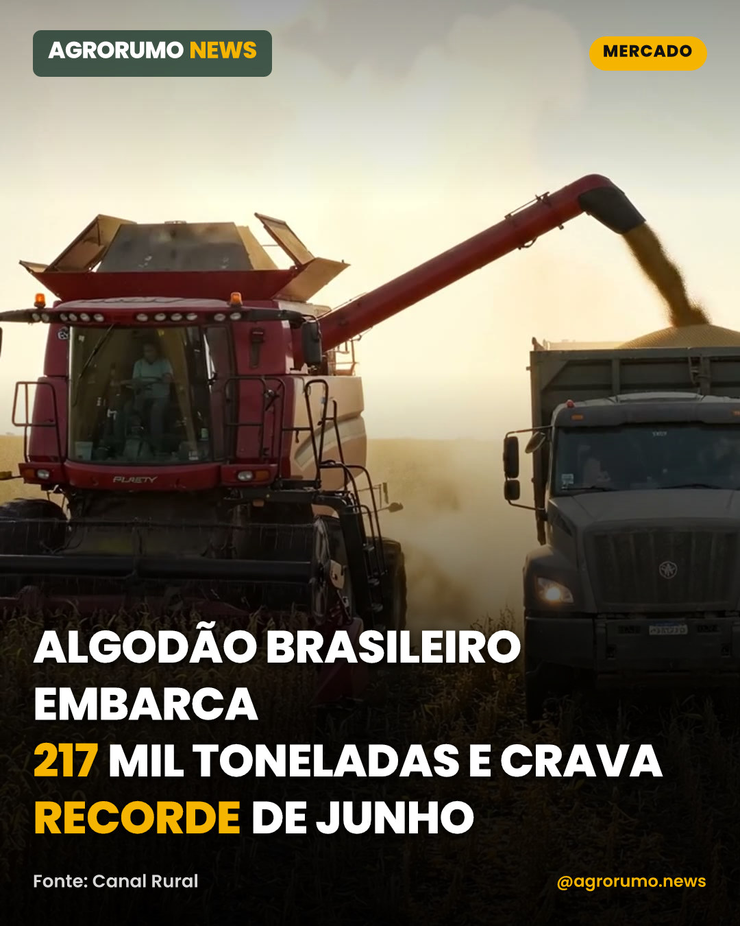 Algodão brasileiro embarca 217 mil toneladas e crava recorde de junho