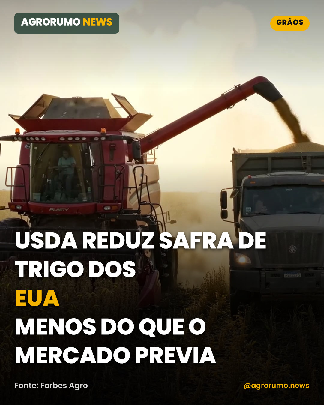 USDA reduz safra de trigo dos EUA menos do que o mercado previa