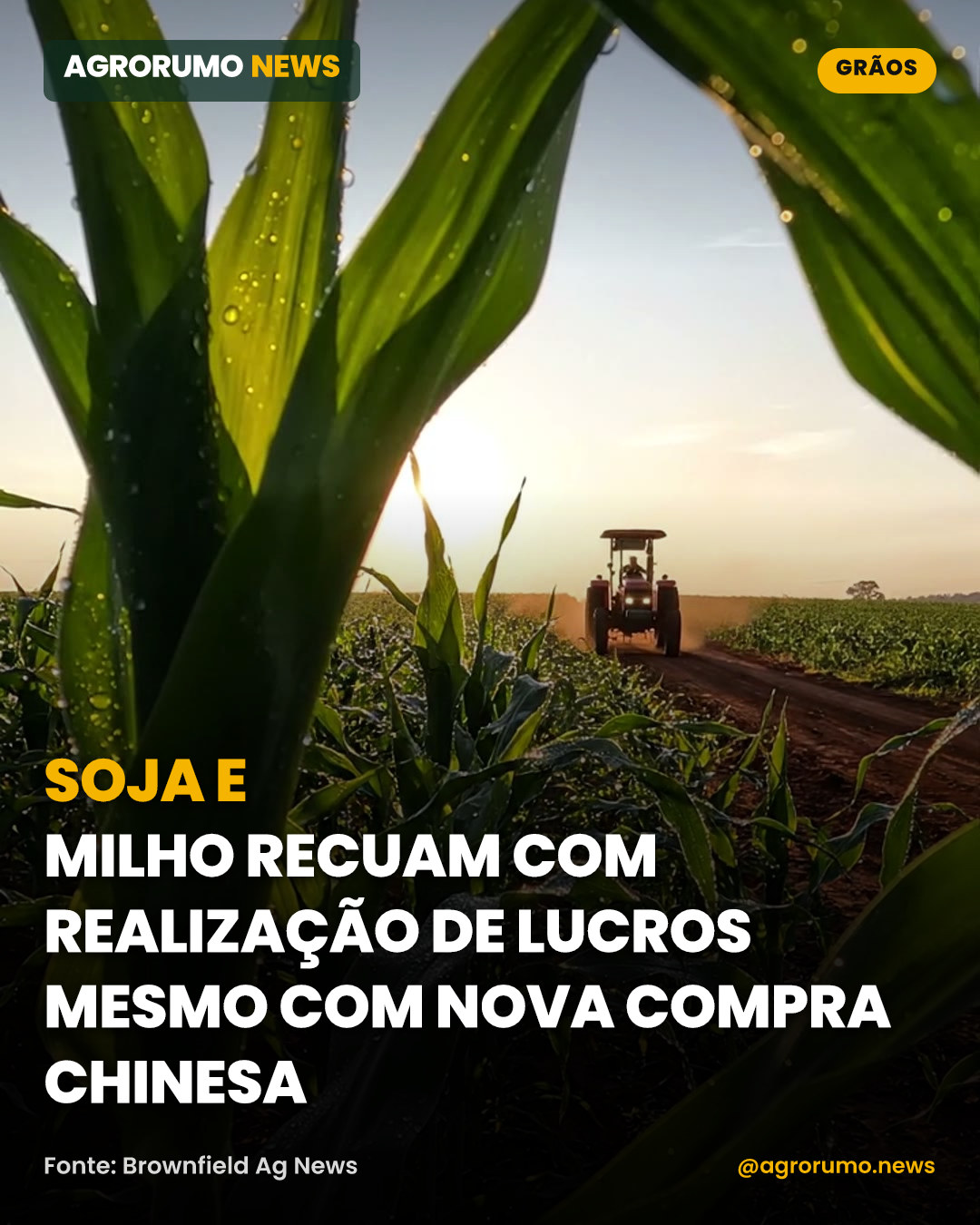 Soja e milho recuam com realização de lucros mesmo com nova compra chinesa