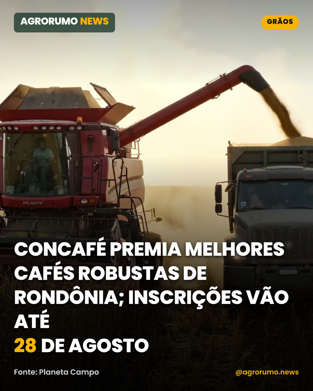 ConCafé premia melhores cafés robustas de Rondônia; inscrições vão até 28 de agosto