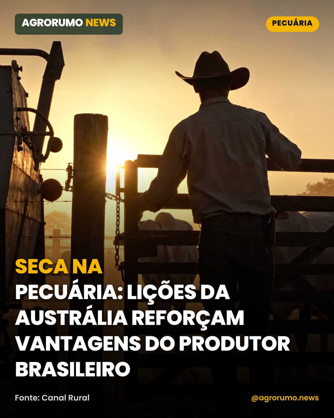 Seca na pecuária: lições da Austrália reforçam vantagens do produtor brasileiro