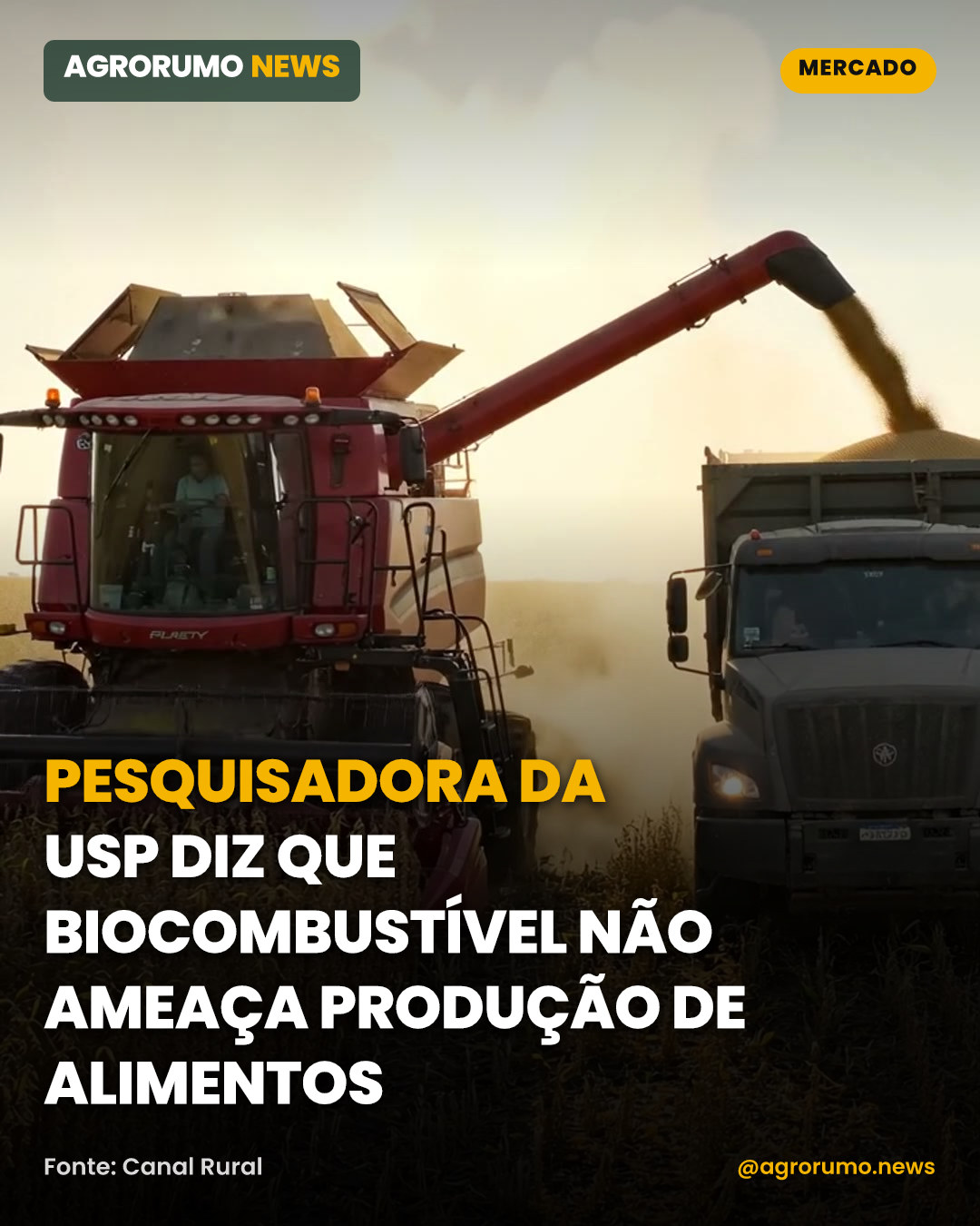 Pesquisadora da USP diz que biocombustível não ameaça produção de alimentos