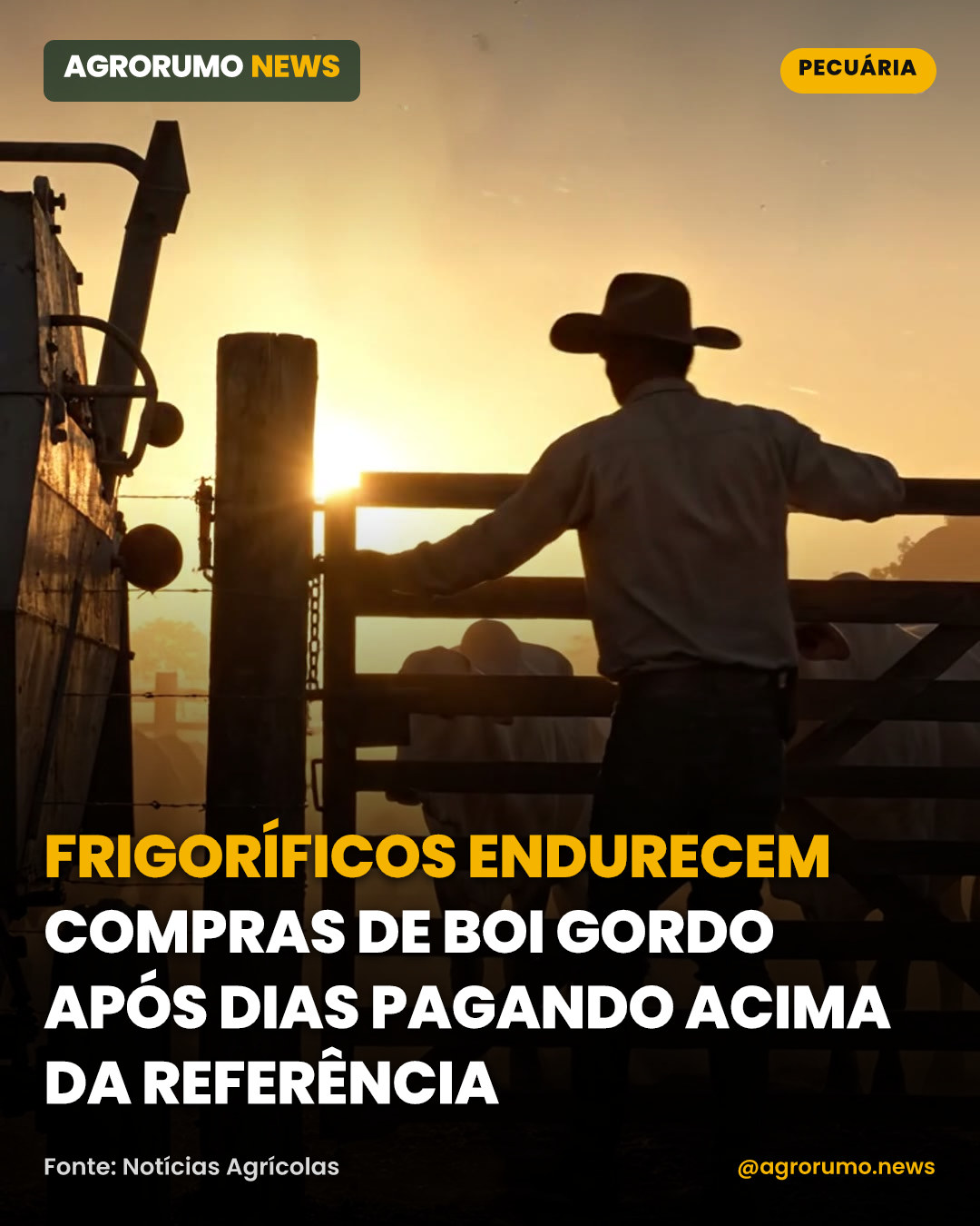 Frigoríficos endurecem compras de boi gordo após dias pagando acima da referência