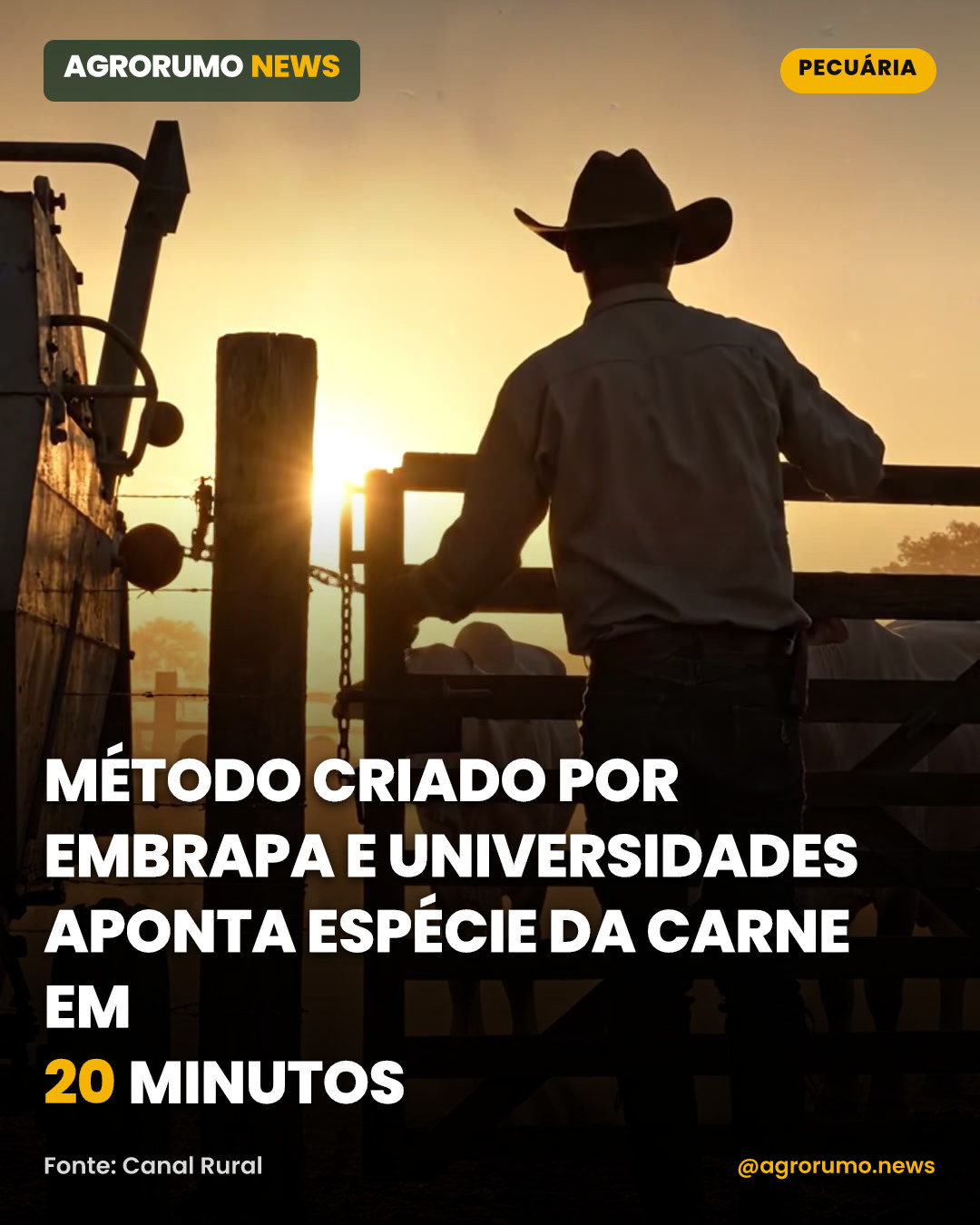 Método criado por Embrapa e universidades aponta espécie da carne em 20 minutos