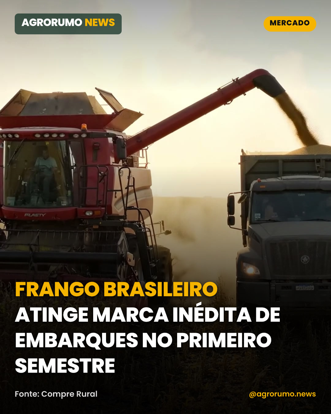 Frango brasileiro atinge marca inédita de embarques no primeiro semestre