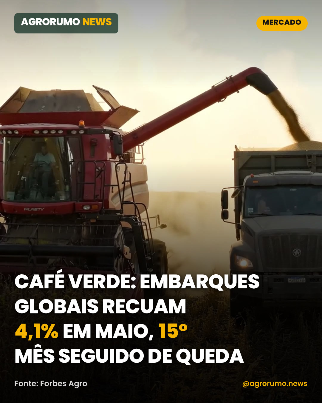 Café verde: embarques globais recuam 4,1% em maio, 15º mês seguido de queda