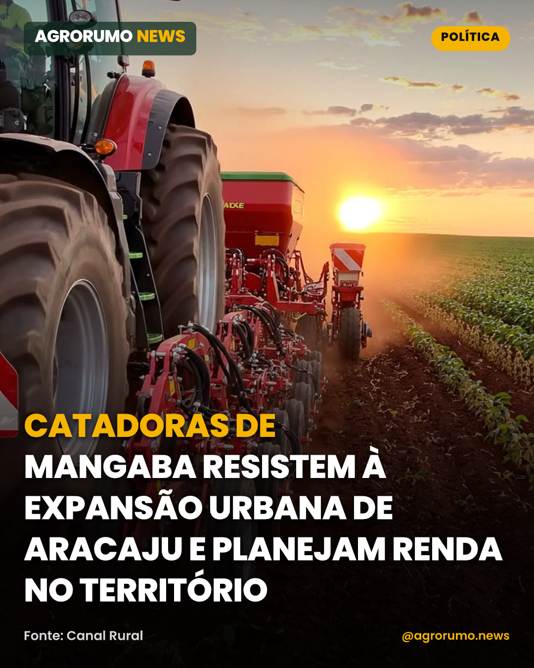Catadoras de mangaba resistem à expansão urbana de Aracaju e planejam renda no território