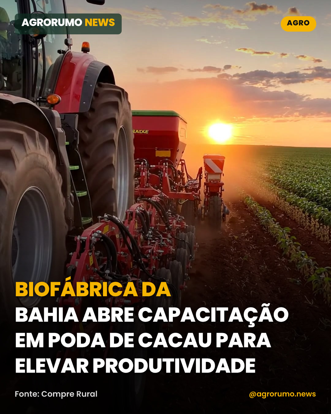 Biofábrica da Bahia abre capacitação em poda de cacau para elevar produtividade