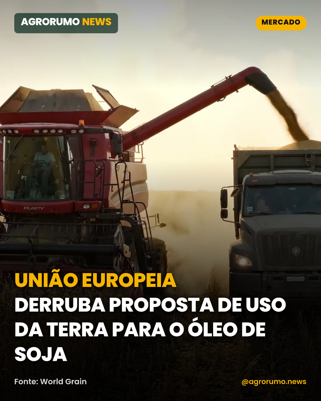 União Europeia derruba proposta de uso da terra para o óleo de soja