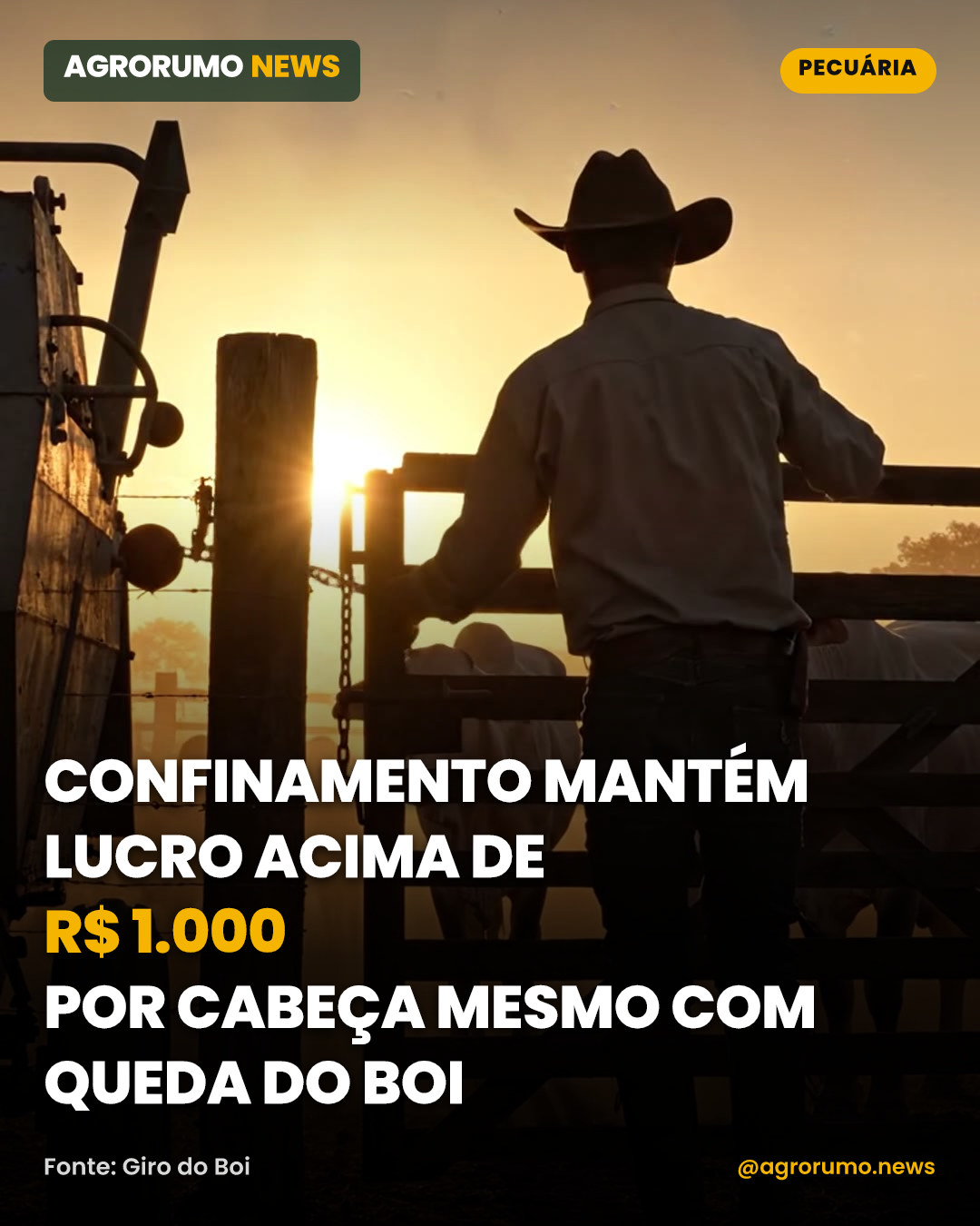 Confinamento mantém lucro acima de R$ 1.000 por cabeça mesmo com queda do boi