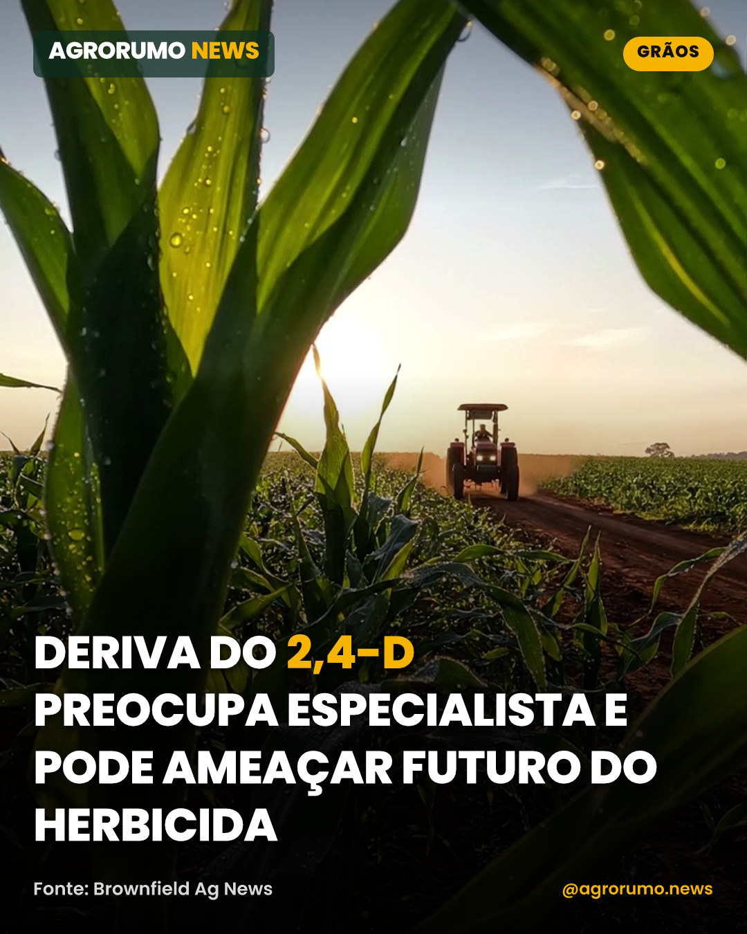 Deriva do 2,4-D preocupa especialista e pode ameaçar futuro do herbicida