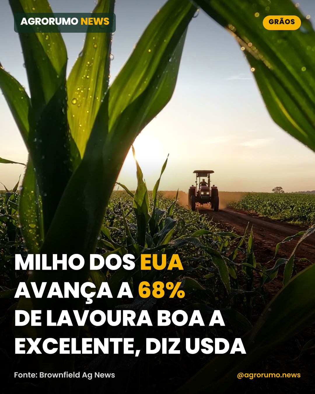 Milho dos EUA avança a 68% de lavoura boa a excelente, diz USDA