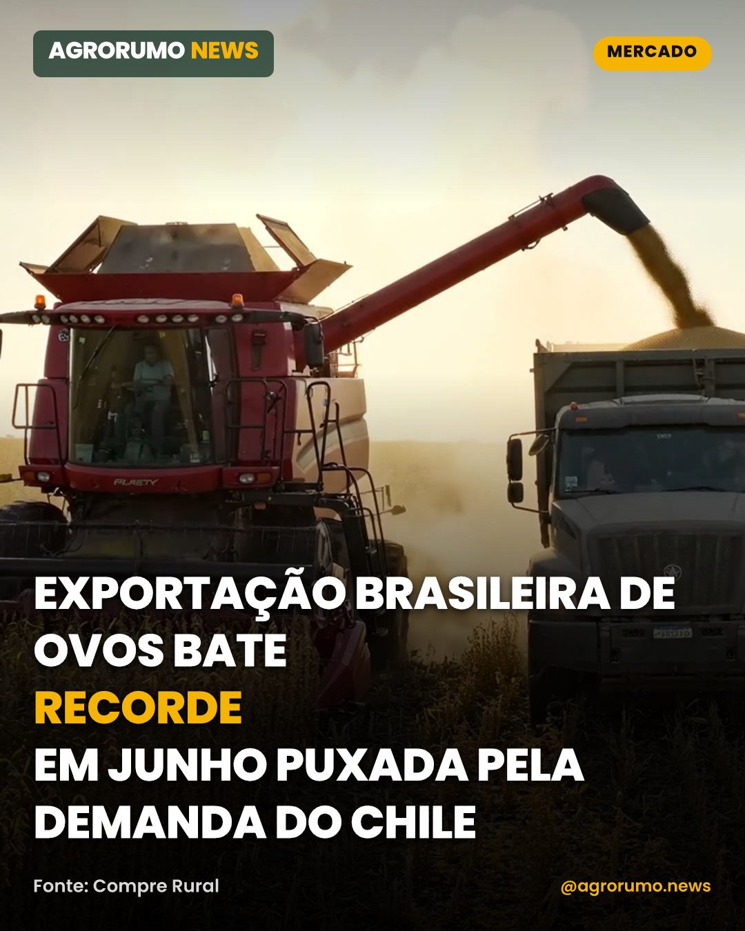 Exportação brasileira de ovos bate recorde em junho puxada pela demanda do Chile