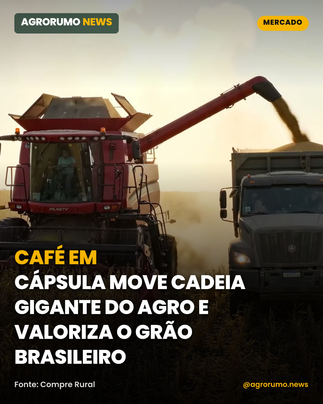 Café em cápsula move cadeia gigante do agro e valoriza o grão brasileiro