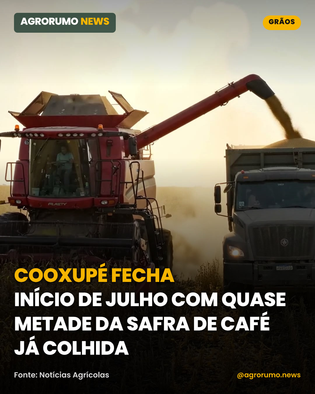 Cooxupé fecha início de julho com quase metade da safra de café já colhida