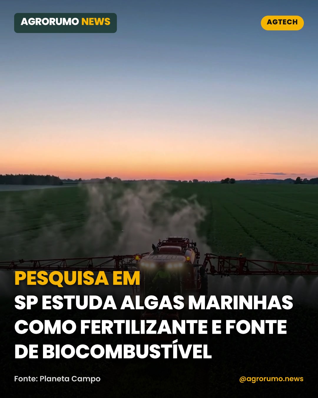 Pesquisa em SP estuda algas marinhas como fertilizante e fonte de biocombustível