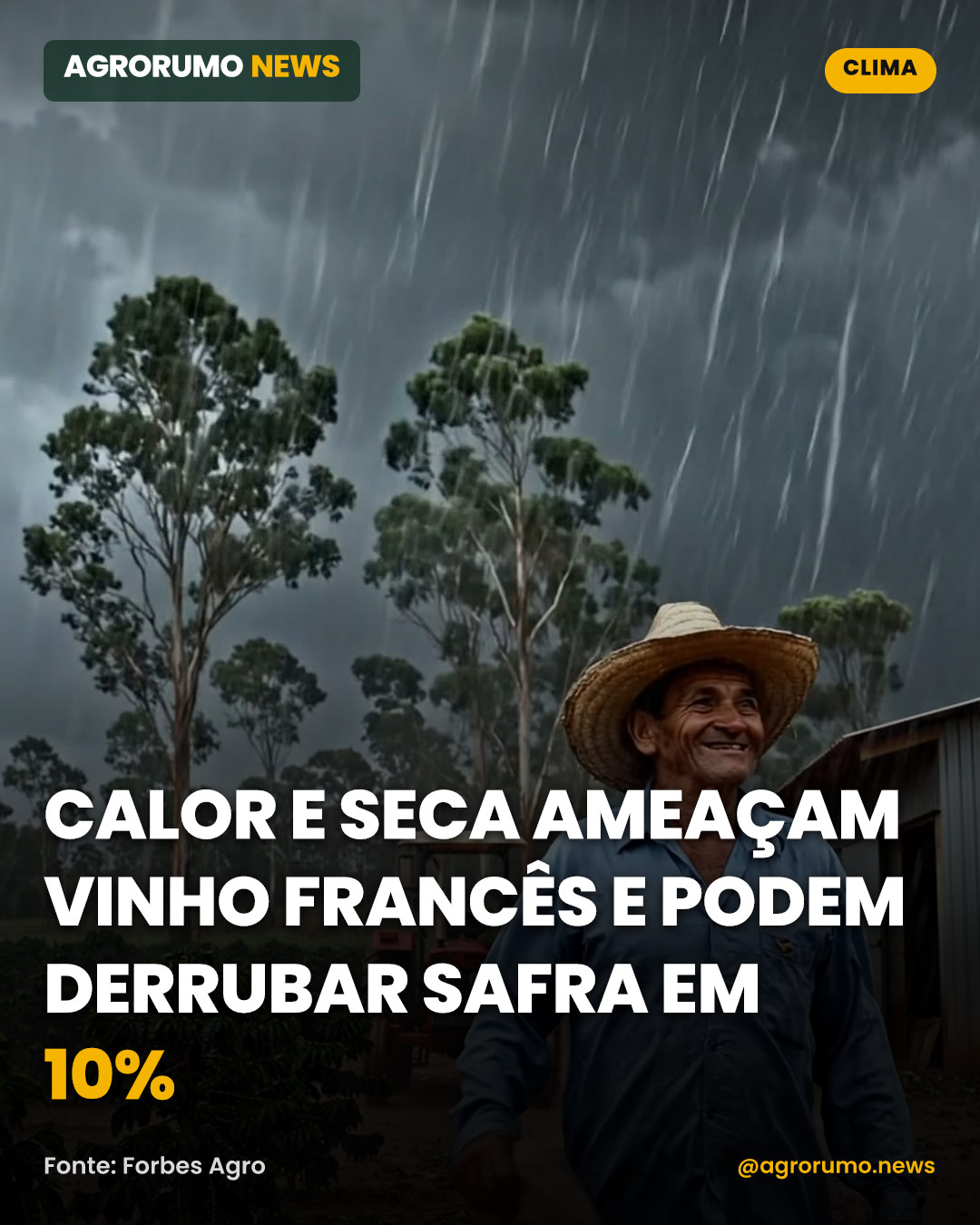 Calor e seca ameaçam vinho francês e podem derrubar safra em 10%