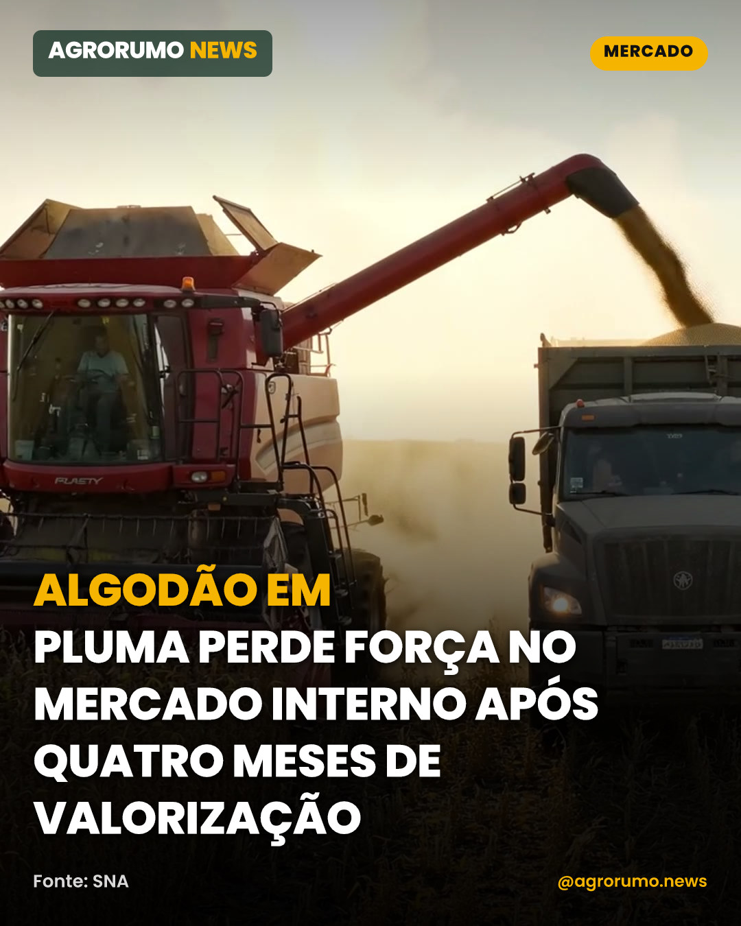 Algodão em pluma perde força no mercado interno após quatro meses de valorização