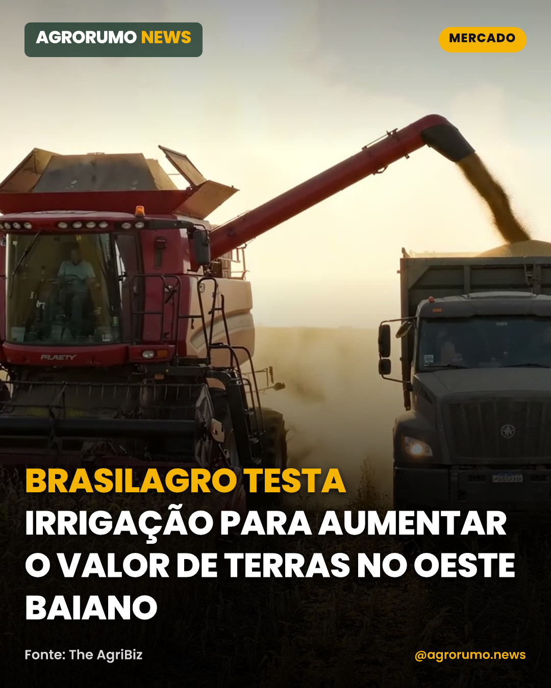 BrasilAgro testa irrigação para aumentar o valor de terras no oeste baiano