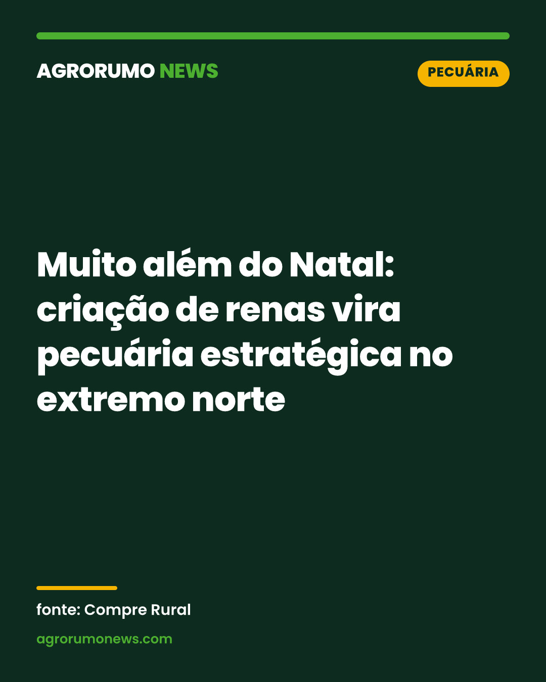 Muito além do Natal: criação de renas vira pecuária estratégica no extremo norte