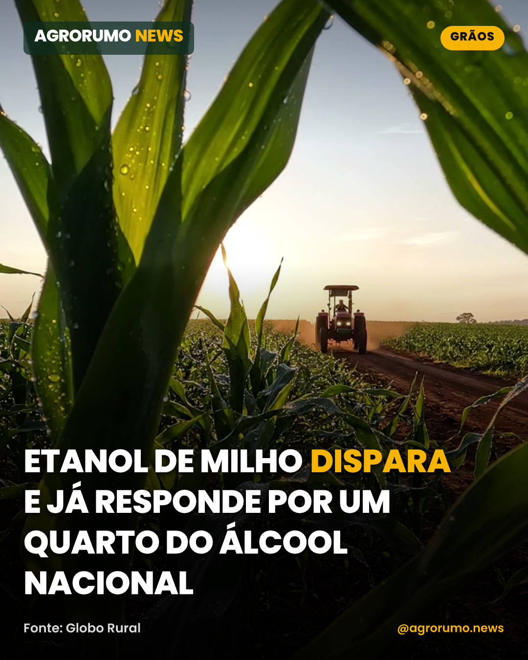 Etanol de milho dispara e já responde por um quarto do álcool nacional