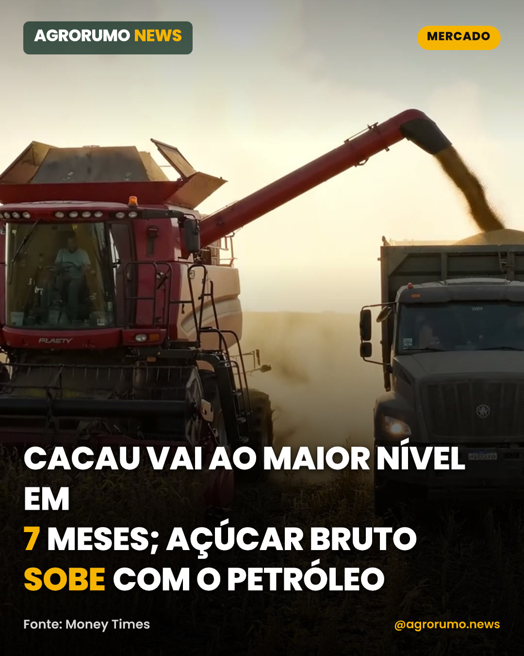 Cacau vai ao maior nível em 7 meses; açúcar bruto sobe com o petróleo